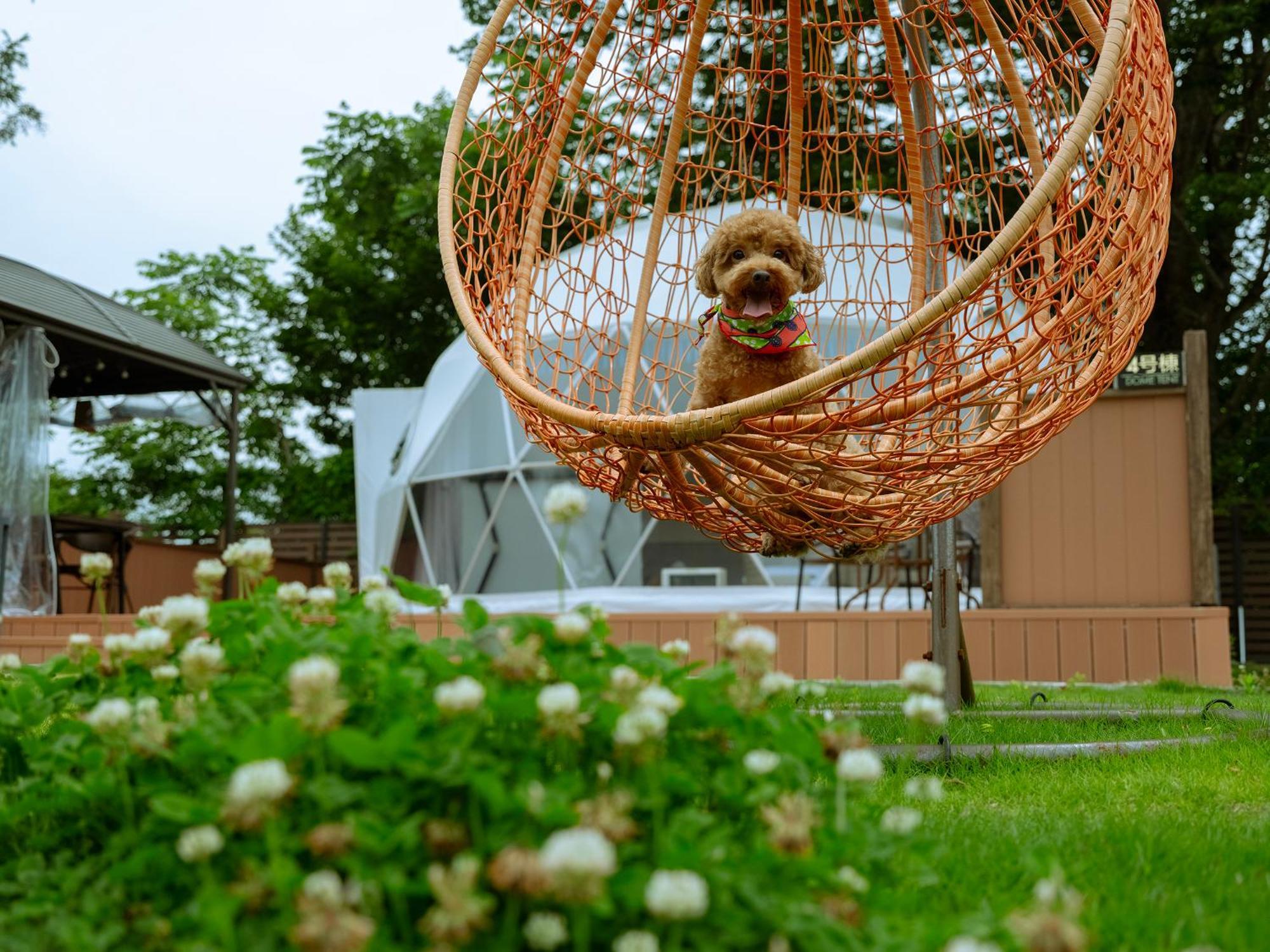 Gramercy Village 山中湖 Glamping &Sauna ยามานากะโกะ ภายนอก รูปภาพ